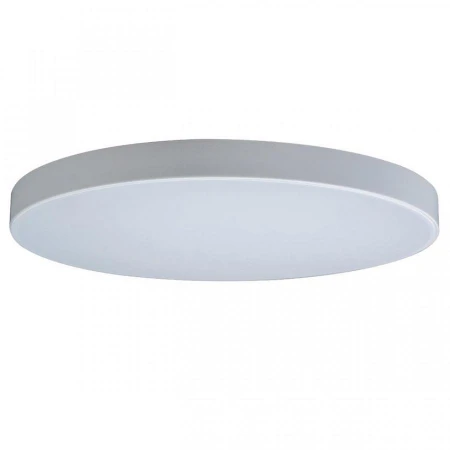 Светильник Loft IT 10002/48 White Axel