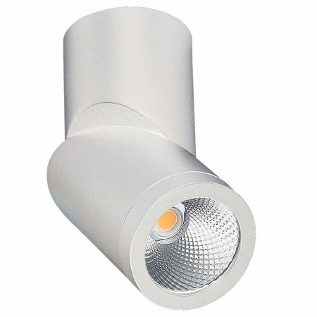 Точечный светильник ST LUCE ST650.532.10