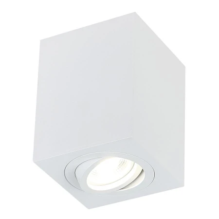 Точечный светильник Simple Story 2038-1CLW