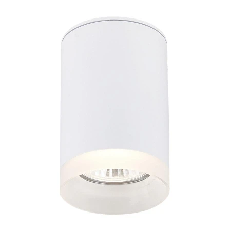 Точечный светильник Simple Story 2039-1CLW