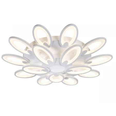 Потолочная светодиодная люстра Omnilux OML-45807-210