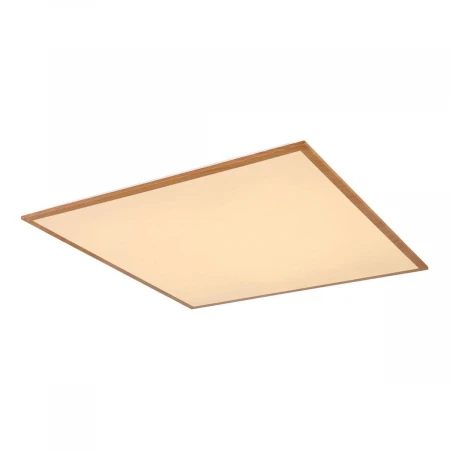 Потолочный светодиодный светильник Globo Doro 416080D3W