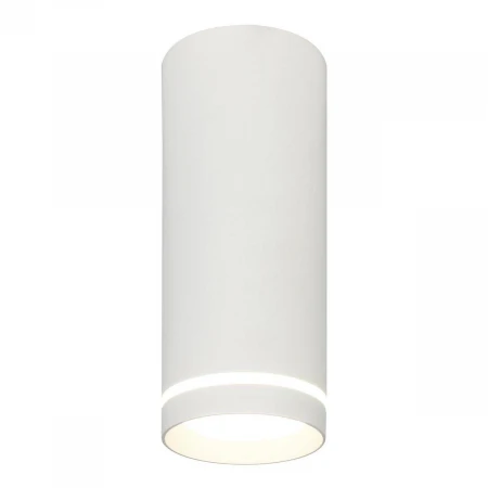 Потолочный светодиодный светильник Escada 20009SMU/02LED SWH