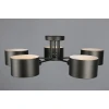 Потолочная люстра Omnilux Lisera OML-54507-05