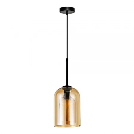 Подвесной светильник Arte Lamp Paio A7015SP-1BK