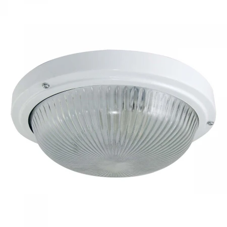 Настенно-потолочный светильник TDM Electric НПП 03-100-002 SQ0311-0017 Настенно-потолочный светильник TDM Electric НПП 03-100-002 SQ0311-0017