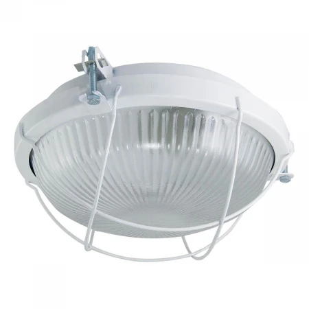 Настенно-потолочный светильник TDM Electric Рыбий глаз НПП 03-100-020.02 SQ0311-0022 Настенно-потолочный светильник TDM Electric Рыбий глаз НПП 03-100-020.02 SQ0311-0022