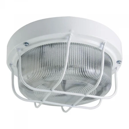 Настенно-потолочный светильник TDM Electric НПП 03-100-103 SQ0311-0020 Настенно-потолочный светильник TDM Electric НПП 03-100-103 SQ0311-0020