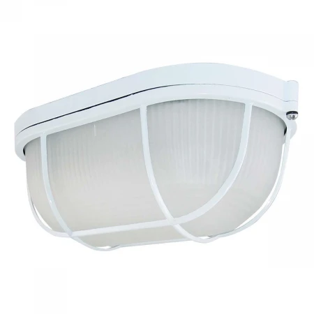 Настенно-потолочный светильник TDM Electric НПБ1202 SQ0303-0038 Настенно-потолочный светильник TDM Electric НПБ1202 SQ0303-0038