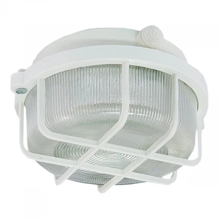 Настенно-потолочный светильник TDM Electric НПП 03-100-005.04 SQ0311-0001 Настенно-потолочный светильник TDM Electric НПП 03-100-005.04 SQ0311-0001