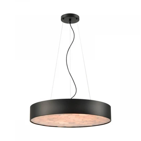 Подвесная светодиодная люстра Wertmark EDERA WE510.01.723