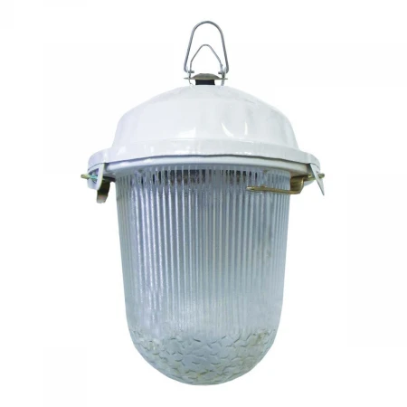 Уличный подвесной светильник TDM Electric НСП 02-100-001.01 SQ0310-0001