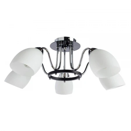 Потолочная люстра Arte Lamp Florentino A7144PL-5BK