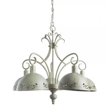 Подвесная люстра Arte Lamp Pittore A2060LM-5WG