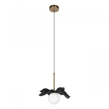 Подвесной светильник Loft IT Monro 10213/A Black