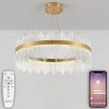 Подвесной светодиодный светильник Natali Kovaltseva Smart Нимбы Led Lamps 81262
