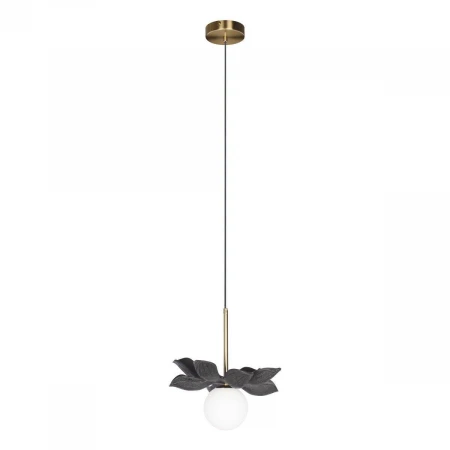 Подвесной светильник Loft IT Monro 10213/B Black