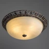 Потолочный светильник Arte Lamp Torta A7133PL-3SA