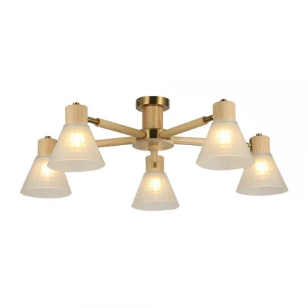 Потолочная люстра Arte Lamp Meleph A4096PL-5BR