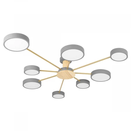 Потолочная светодиодная люстра Loft IT Sunrise 10316/8 Grey