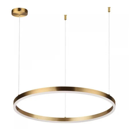 Подвесной светодиодный светильник Lumion Ledio Echo 6531/50L