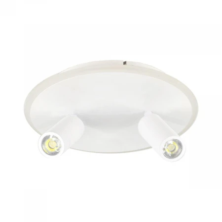 Потолочный светодиодный светильник Escada 20046SMA/02LED WH