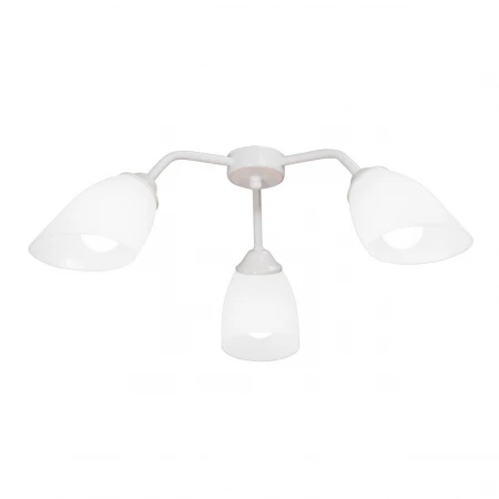 Потолочная люстра Vitaluce V31950/3PL