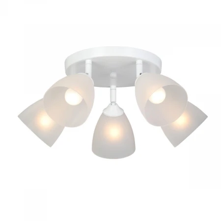 Потолочная люстра Vitaluce V4355-0/5PL