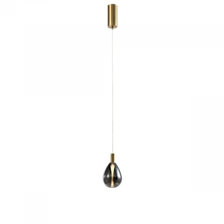 Подвесной светодиодный светильник Favourite Hopper 4255-1P