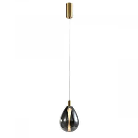 Подвесной светодиодный светильник Favourite Hopper 4255-2P