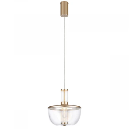 Подвесной светодиодный светильник Favourite Flaska 4313-1P