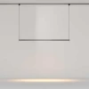 Трековый подвесной светильник Maytoni Technical TR169-1-52W3K-M-B