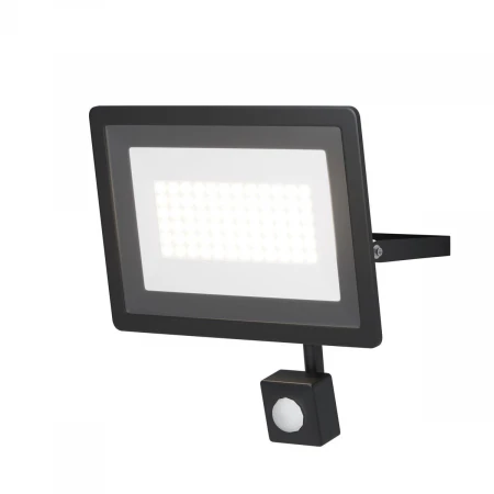 Прожектор светодиодный Maytoni Flood 50W 6500K FL001-L50B6KSR