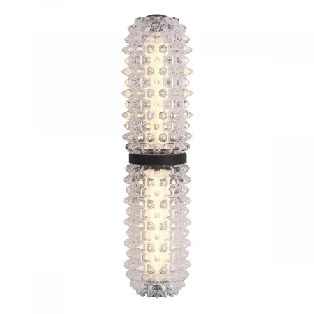 Настенный светильник ST Luce SAGUARO SL6144.401.01