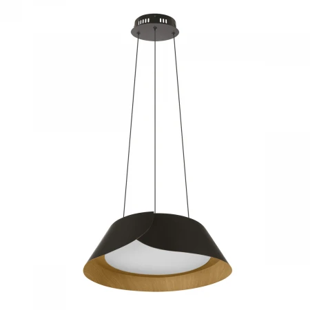 Подвесной светильник LOFT IT Lane 10370P Black