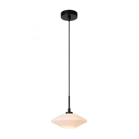 Подвесной светильник Lucide TREVOR 25414/20/61