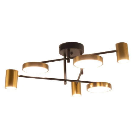 Потолочная светодиодная люстра Kink Light Рапис 07645-6D,19(20)