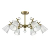 Потолочная люстра Lumion Classi Aurica 8046/6C