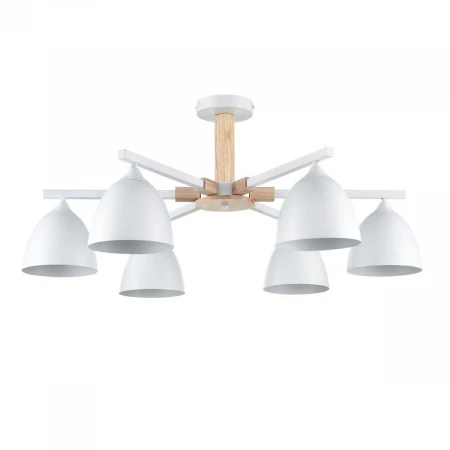 Потолочная люстра Lumion Moderni Colange 8095/6C