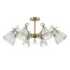 Потолочная люстра Lumion Classi Aurica 8046/8C