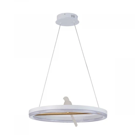 Подвесной светодиодный светильник F-Promo Bardy 4653-1P