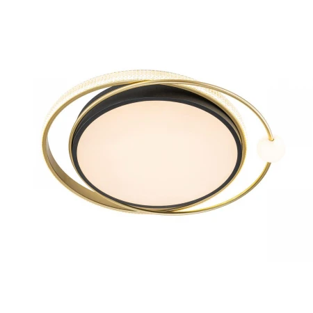 Потолочный светодиодный светильник Arte Lamp Albireo A2658PL-58BK