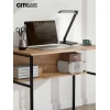 Настольная лампа Citilux CL803081