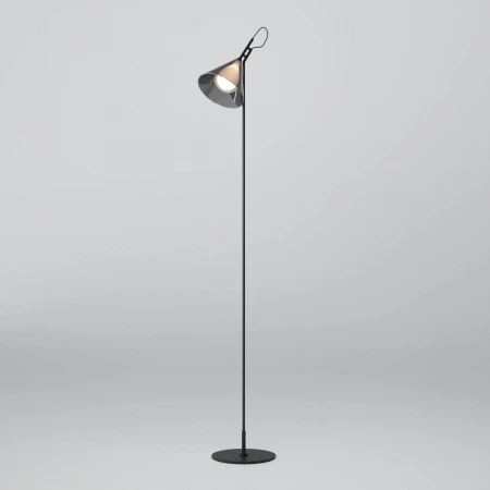 Торшер Eurosvet Enigma 01187/1 черный