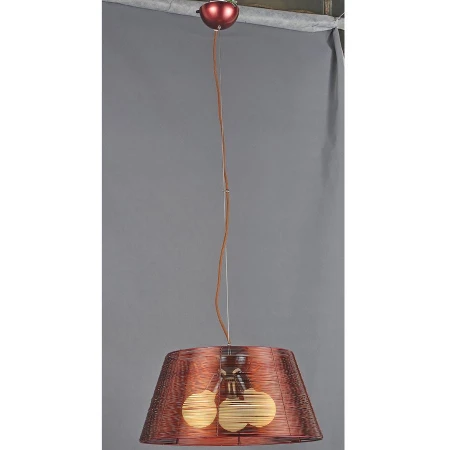 Светильник ST LUCE SL513.803.03