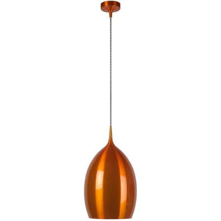 Светильник Lucide 31428/25/42 TAZIR