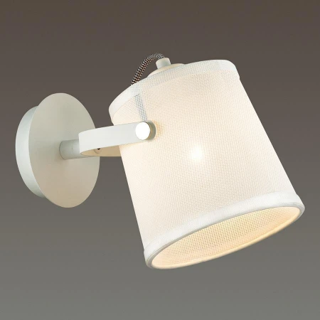 Бра Odeon Light 4160/1W Loka