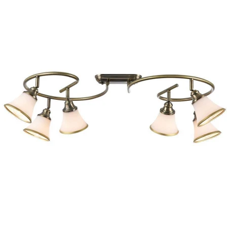 Спот Freya FR2272-CL-06-BS Jasinta