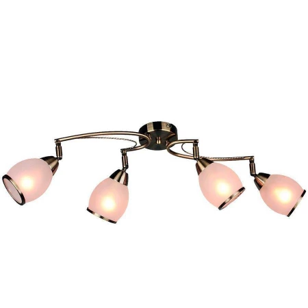 Спот Omnilux OML-35121-04