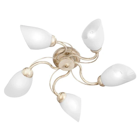 Люстра Vitaluce V3207/5PL